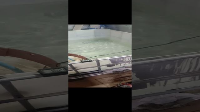 Video_20241209_200907.mp4