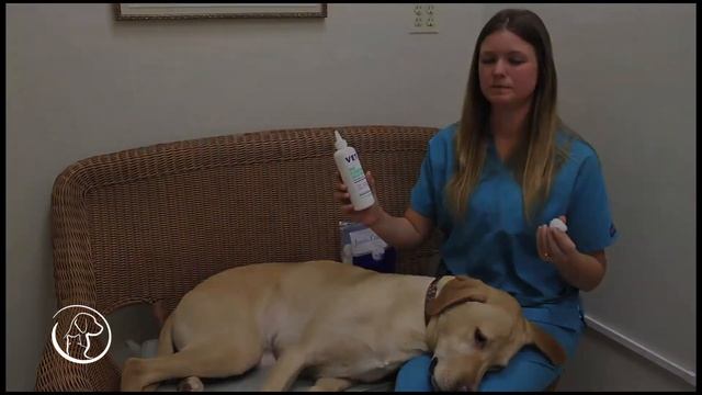 Bay Ridge Animal Hospital's "How To" Pet Home Care & More: Dog Ear Cleaning смотреть онлайн