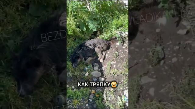 МЫ ВЫЕЗЖАЕМ В ПОС.БУРОН!!! смотреть онлайн