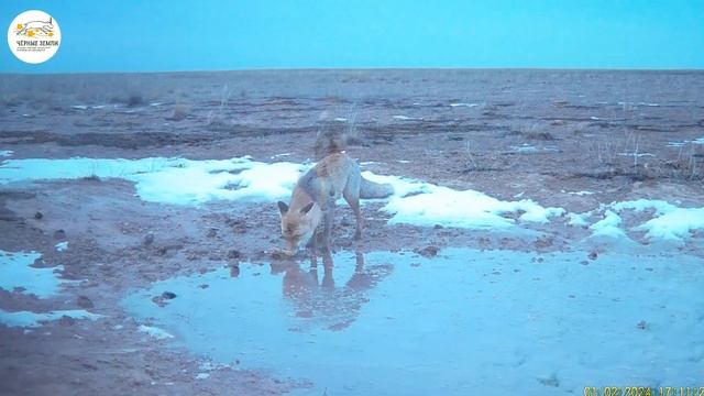 Приоткрывая заповедные двери… В феврале 24-го смотреть онлайн