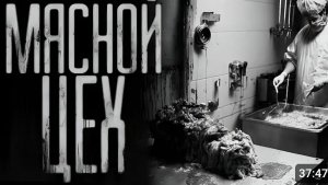 Мясной цех. страшные истории на ночь.