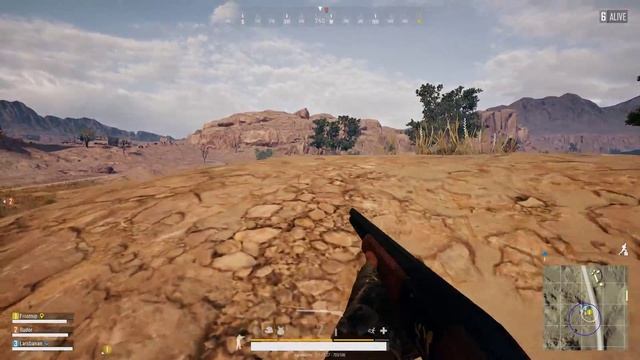 Chicken Dinner With Led Pellets For Dessert