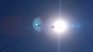 полет молодых голубей