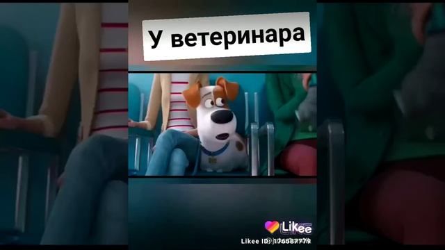 ставьте лайк если оно смешное смотреть онлайн