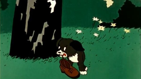 Вот так тигр