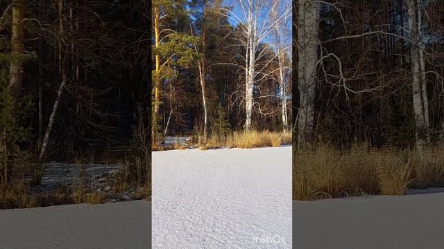 Ноябрь. ПЕРВЫЙ ЛЕД.  Видео: Марины Кукарцевой