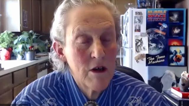 Which Type of Thinker Are You? || Dr. Temple Grandin смотреть онлайн