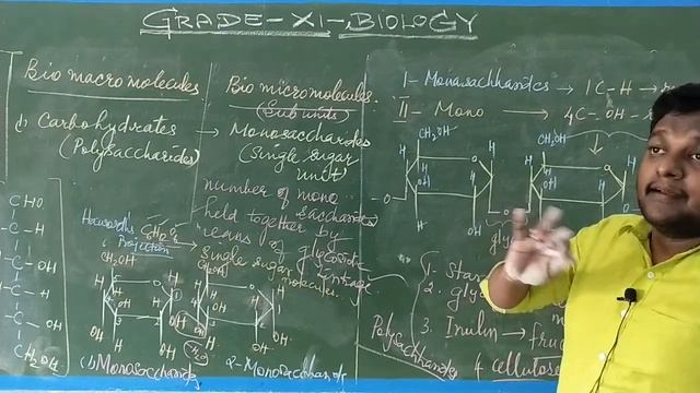 GRADE XI - BIOLOGY - BIO MOLECULES (PART 2) смотреть онлайн
