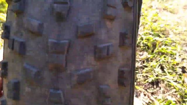 Электровелосипед Фетбайк Leopard 20 Pro Обзор