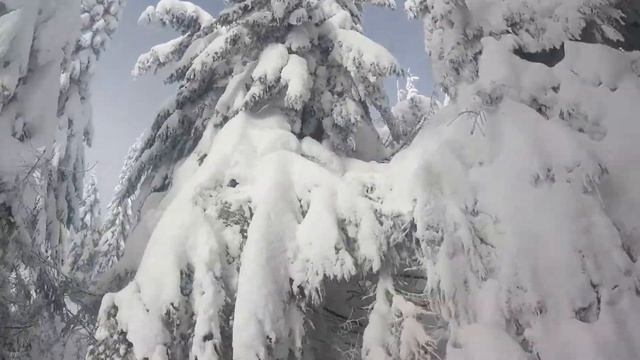 Драгобрат 27.01.2019 смотреть онлайн