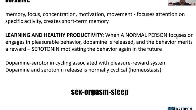 Dr. Robert Cywes - Dopamine Fasting and Seratonin Loading смотреть онлайн