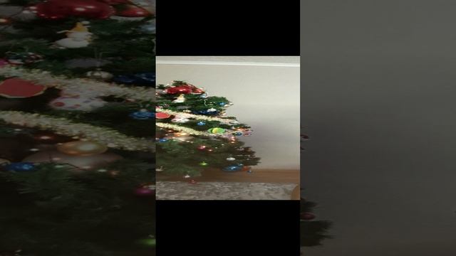 1000109610.mp4Пуховые изделия у Ольги из Волгоградской области .т.89020931602. смотреть онлайн