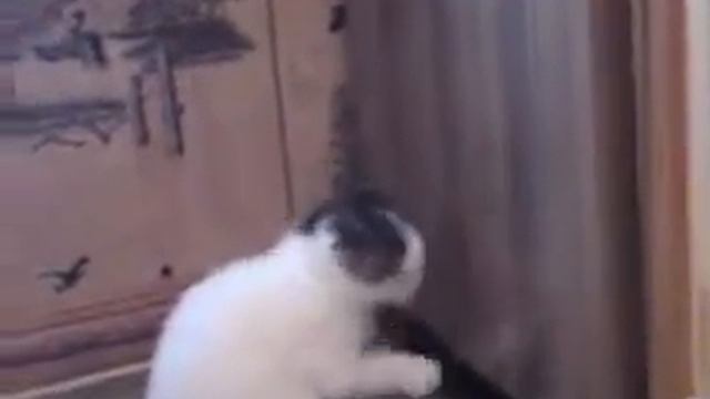 Откройте мне холодильник!.MP4 смотреть онлайн