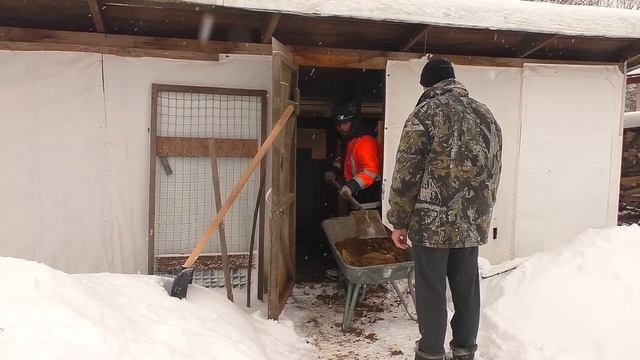 Дела январские - индюки на выпасе. Новое увлечение. смотреть онлайн