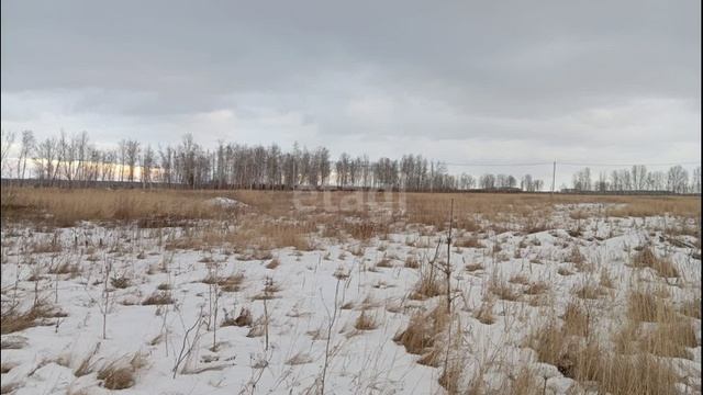 видео5 смотреть онлайн