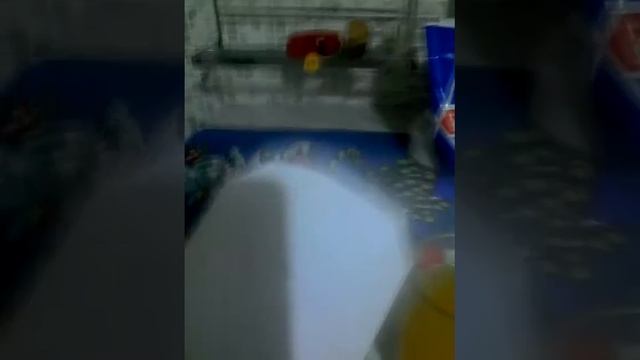 Как зделать фруктовый лёд смотреть онлайн