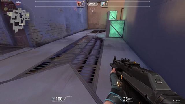 I CAUGHT THE PERSON THAT HACKED MY VALORANT ACCOUNT смотреть онлайн