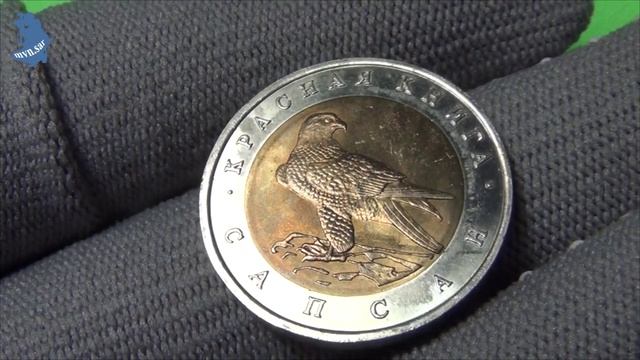 50 рублей 1994 года. ЛМД. КРАСНАЯ КНИГА .САПСАН. Тип Юбилейные и памятные монеты. РФ.#554 смотреть онлайн