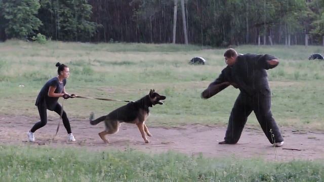 Занятие по защите. Мegaton смотреть онлайн