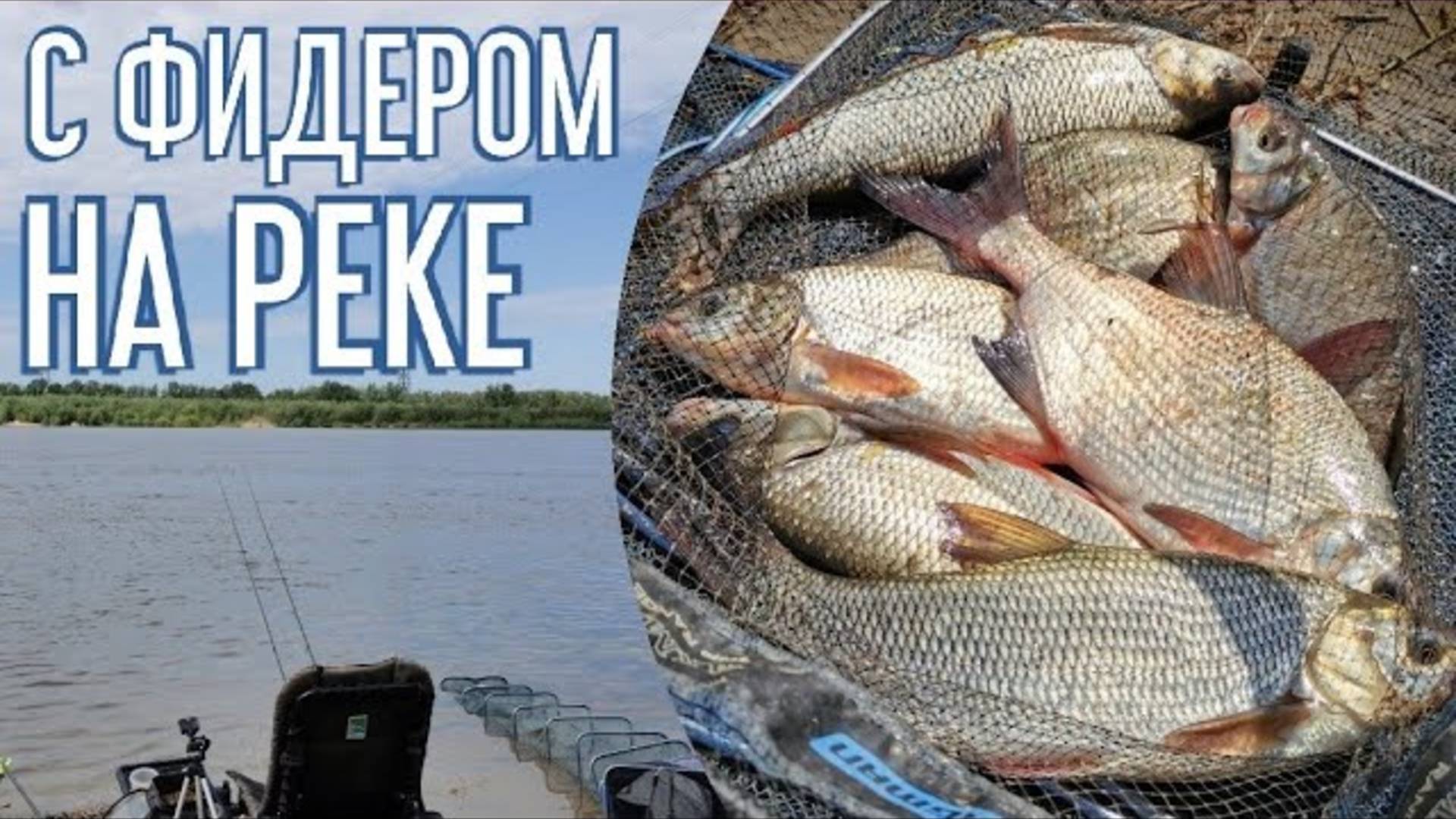 Ловля язя и леща на фидер. Рыбалка 2022. Фидер на реке смотреть онлайн