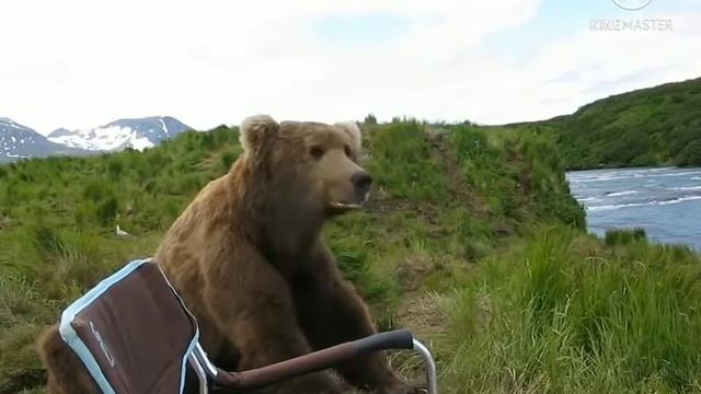 Фнаф скримеры в реальной жизни смотреть онлайн
