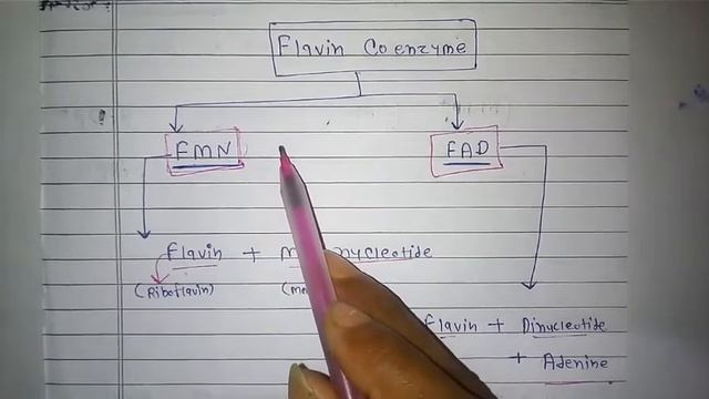 Enzyme(L-8) Msc3rd Chemistry смотреть онлайн