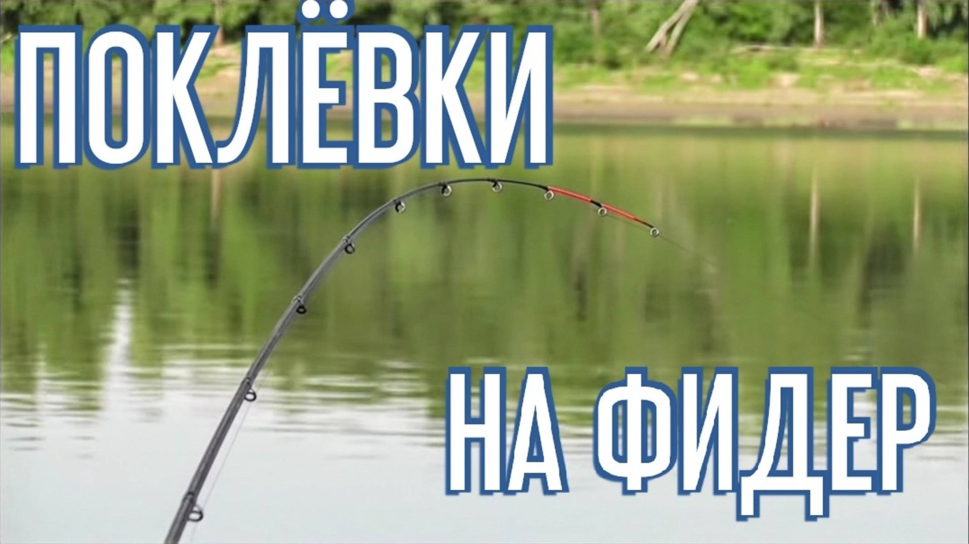 Поклевки на фидер. Как клюет на фидер лещ, язь, карась и плотва. Подборка поклевок на фидер смотреть онлайн