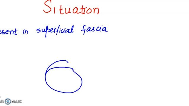 Breast: Mammary Gland: Mammary Gland Anatomy: Pectoral Region/Upper Limb Anatomy смотреть онлайн