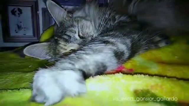 Дремота смотреть онлайн