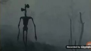 Песня серена головый