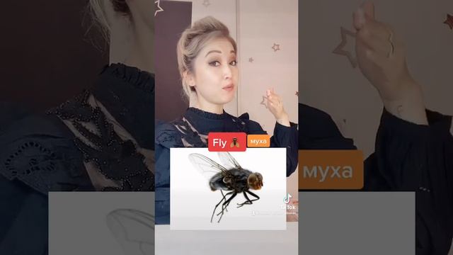 Насекомые на английском смотреть онлайн