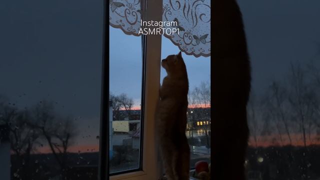 Фаня нюхает весну смотреть онлайн