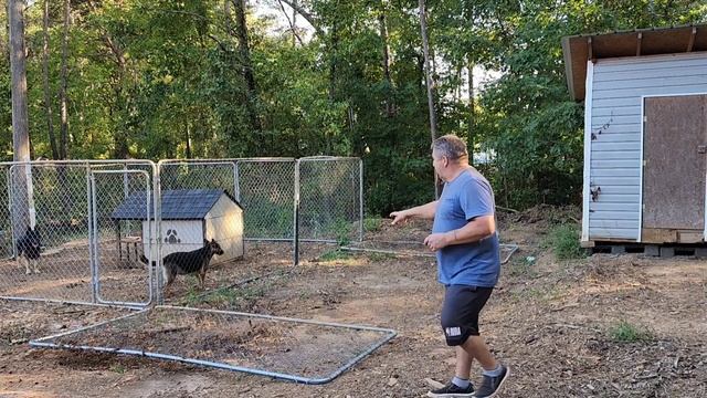 ТРАКТОРИСТ МИШАНЯ // ПРОЧИЩАЮ ЛЕС // ПРОДОЛЖАЮ ДЕЛАТЬ ОГРАДУ ОВЧАРКАМ // АМЕРИКА смотреть онлайн