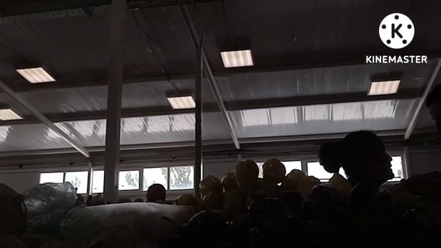 Покупки на Васильке и не только. Варю, пеку. #влог#волжский#любимыйвасилек#голубцы#кексики смотреть онлайн