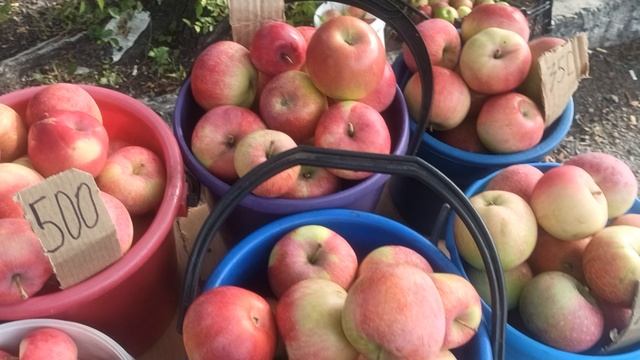 1000000503.mp4На рынке. Фрукты моего сада.