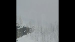 Лукавство известного садовода.Валерия Железова.