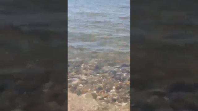 Доброе утро!⛅#утро#волна #море #шумприбоя #шумморя #звукиморя #лето #июнь #моресегодня #онлайн смотреть онлайн