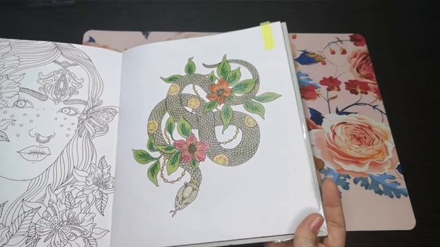 ХОББИ ВЛОГ: Совместное раскрашивание/Ханна Карлсон /Волшебная шкатулка/24 часа смотреть онлайн