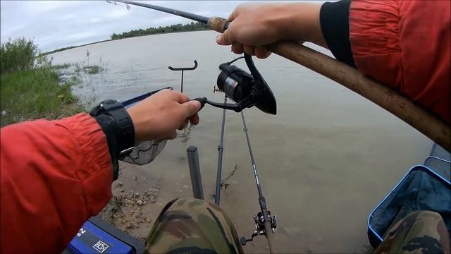 Ловля подлещика на фидер. Рыбалка на реке смотреть онлайн