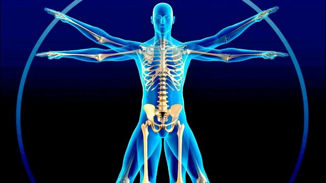 Психосоматика Краткий справочник болезней тела и их вероятных причин смотреть онлайн