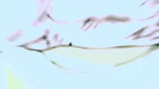 “Catharsis”-Amv edit (sanji ) смотреть онлайн