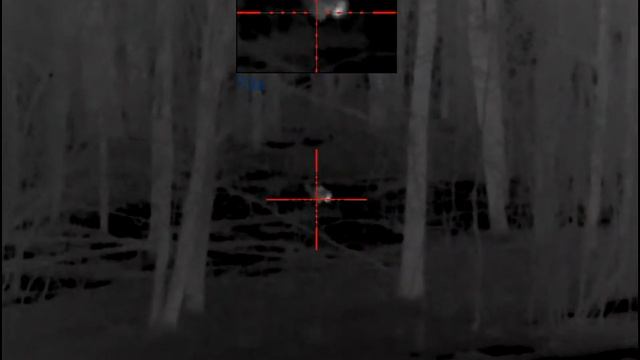 Енот на приваде 16/ Raccoon dog смотреть онлайн