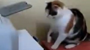 Ну принтер, держись! Щас ты у меня получишь Трюнделей! Хех...