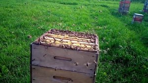 Вечерний (лунный) облёт, начало эксперимента.