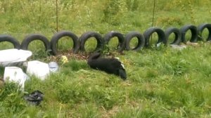 Ужасы радиации