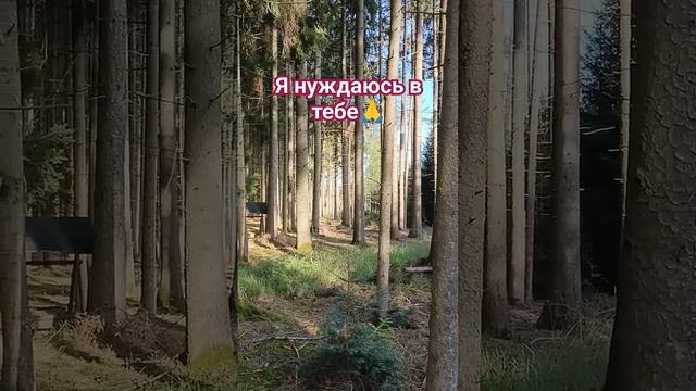 О всевышний...