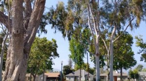 T-Mobile REVVL 7 Pro Camera Review! | Does It SUCK???