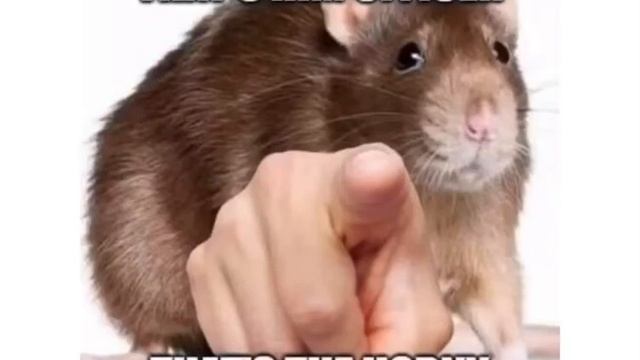 hentai hard tentacules смотреть онлайн