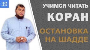 Урок №39: Остановка на шадде