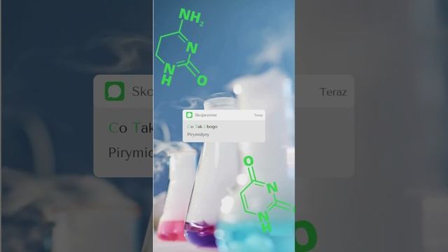 Cytozyna/Tymina/Uracyl - pirymidyny - skojarzenie! смотреть онлайн